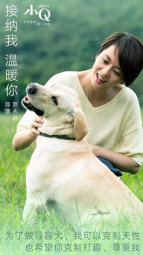 办理达维斯学院文凭